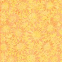 ttTONGA-B1198 SUN